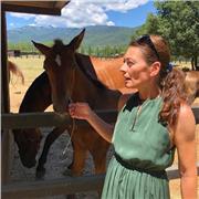 Docente nella scuola primaria (posto comune e sostegno), sono disponibile per AIUTO COMPITI e PROGRAMMI DI RECUPERO PERSONALIZZATI